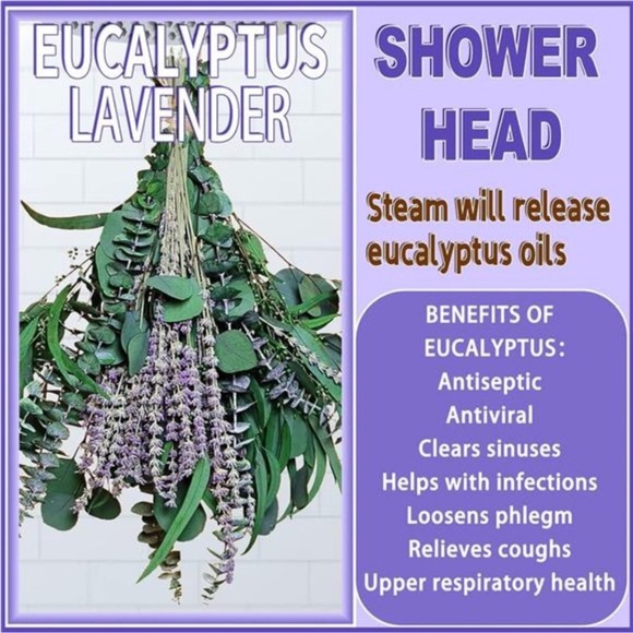 52 PCS Mix Dried Eucalyptus & Lavender Flowers Bundles for Shower, 17'' Natural - Picture 5 of 6